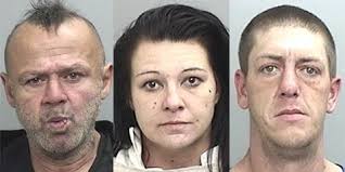 Mendocino County Today: Monday, Nov. 12, 2018