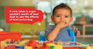 Image result for Lead Poisoning