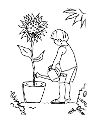 This particular drawing begs for a variety of different colors, so. Kid Growing Plants Sunflower Coloring Page Coloring Sky