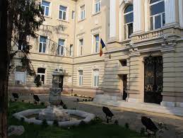 Spitalul oferă servicii de educaţie academică şi de cercetare în domeniul medical, fiind afiliat universităţii de medicină şi farmacie carol davila din bucureşti. Conducerea Spitalului Militar Dr Carol Davila DecoratÄ De Presedintele Iohannis