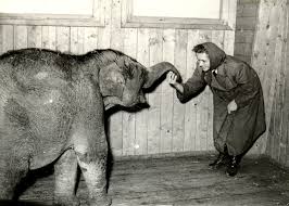 Velká zoo s mnoha zvířaty a velkou botanickou zahradou. Historie O Zoo Zoo Ostrava