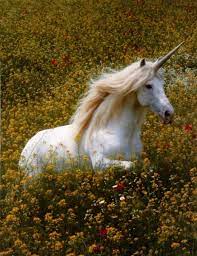 Tap the icon to send it instantly. Kyle Brownlee On Twitter How Are Unicorns Fake But Giraffes Are Real Like What S More Believable A Horse With A Horn Or A Leopard Moose Camel With A 40 Foot Neck