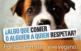 ARGUMENTO: “Según el diccionario, los animales no son personas” |  Respuestas Veganas