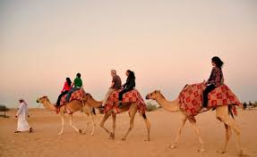 Sand boarding & camel ride. Dubai Desert Safari Ahmedia Guest House