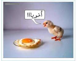 صور عن الاخت 2021 اجمل الصور مكتوب عليها احلي الكلمات صور مع عبارات. ØµÙØ± ÙØ¶Ø­ÙØ© Ø¬Ø¯Ø§ ØµÙØ± ÙØ¶Ø­ÙØ© Ø³Ø§Ø®Ø±Ø© Ø§Ø­ÙÙ ÙÙØ§Ù