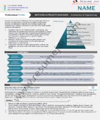 Professional Resume Writing Services In Bangalore By Expert Writers