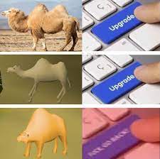 She fails at running, calling for help, and drinking enough water. Camel Is Evolving 2007scape
