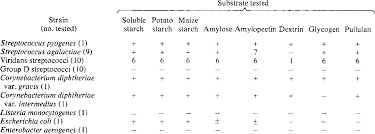 Image result for Group D Streptococcus