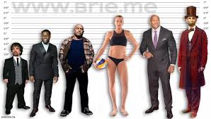 157 cm kevin hart kevin hart net worth: Joe Rogan Height Brie