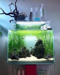21 Best Aquascaping Design Ideas To Decor Your Aquarium Tips Inside Homelovers Fish Tank Aquarium Aquascape