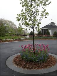 Box 4847 framingham, ma 01704 toll free: Framingham Landscaping Service John S Landscaping Service Ma