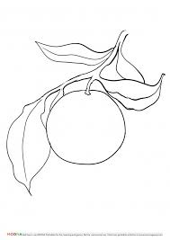 Whitepages is a residential phone book you can use to look up individuals. Free Printable Coloring Pages Moona Fruits And Berries