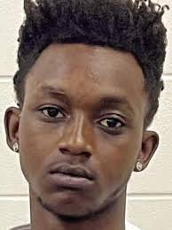 South Carolina men arrested after pursuit into Taliaferro County