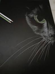 10 Staggering Charcoal Easy Things To Draw Ideas In 2020 Black Paper Drawing Black Paper Charcoal Drawing