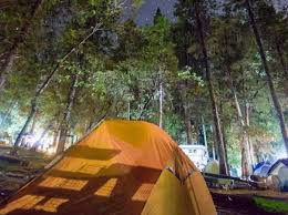 Check spelling or type a new query. Gold Country Campground Resort Pine Grove Rv Camping