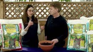 Grow bigger and healthier plants with coast of maine bumper crop. Master Nursery S Bumper Crop Potting Soil Gardener S Gold Youtube