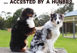 Find more similar words at. Let Me Tell You About That Time I Was Accosted By A Hunbro The Anti Mlm Coalition