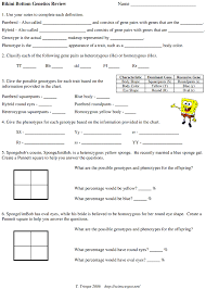 Punnett square terms to learn. Http Seedbiology2013 Weebly Com Uploads 8 5 3 7 8537612 Hw Monohybrid Mice Bikini Bottom Review 1 Pdf