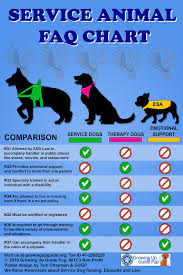 You must contact the environment agency. Service Animal Faq Chart Psychiatric Service Dog Service Animal Service Dogs Quotes