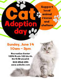 Pet Adoption Flyer Template Or Social Media Post Cat Adoption Dog Adoption Adoption
