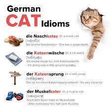 Make your screen stand out with the latest cat 1080 wallpapers! Daad Usa Ok You Cat Lovers Who Needs Cute Cat Videos When You Have German Cat Idioms Here Are Some Cute Cat Relating Sayings To Spice Up Your German Image Ich