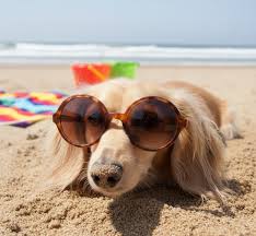 Sandy nose, happy heart. #fblifestyle