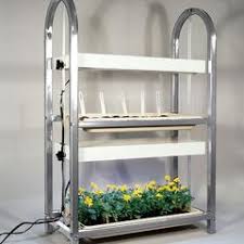 Grow lights are excellent for seed germination and growing seedlings, and indoor plants love them too. All Grow Lights Plant Stands For Indoor Plants