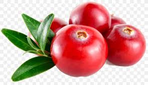 Barbados Cherry Cranberry Juice Lingonberry Huckleberry Png 2156x1256px Barbados Cherry Accessory Fruit Acerola Acerola Family Apple Download 936 border cranberry stock illustrations, vectors & clipart for free or amazingly low rates! barbados cherry cranberry juice