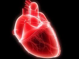 心肌炎 (myocarditis)指心肌本身的炎症病变，有局灶性或弥漫性，也可分为急性、亚急性或慢性，总的分为感染性和非感染性两大类。 感染性可有 细菌 、 病毒 、 螺旋体 、 立克次体 、 真菌 、 原虫 、 蠕虫 等所引起。 é'å°'å¹´æ€¥æ€§å¿ƒè‚Œç‚Žè'‰å…‹è†œæ•'å›žä¸€å'½ ä»Šå'¨åˆŠ