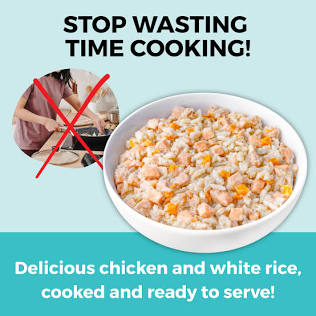 The classic, soothing bland diet for an upset canine stomach., AI generated