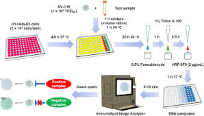 Image result for Neutralization Test