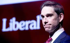 Quick Sketch: Liberal John Hogan hopes to win his first election as N.L.  premier