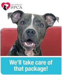 The companion chronicles is a living archive of these timeless stories. 57 Sf Spca News And Events Ideas Spca Animals Humane Education