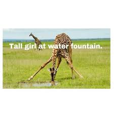 Instagram Photo By Tallgirl Problems Via Ink361 Com Tall Girl Problems Tall Girl Problems Tall People Problems Tall People