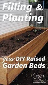 We did not find results for: Filling And Planting Diy Raised Gardens Q Schmitz Blog Diy Raised Garden Building A Raised Garden Raised Garden