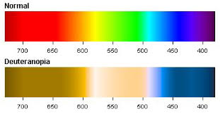 deuteranopia red green color blindness colblindor