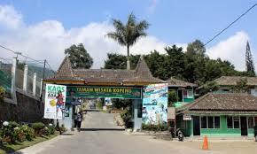 Casserole supper for diabetic southern chicken cas. Taman Wisata Kopeng Taman Keren Kekinian Di Semarang Java Travel