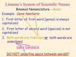 Linneau S System Of Scientific Names Binomial Nomenclature Rules Example Canis Famili Science Flashcards Life Science Lessons Persuasive Writing Prompts