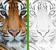 Photo to pencil sketch converter. Convert Photo To Pencil Sketch Online Free Image Converter Moonpic