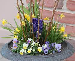 Plan for a succession of color. 12 Stunning Spring Container Gardens