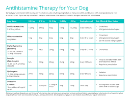 Antihistamine Therapy For Dogs Read The Article Before Using This Chart Pet Health Therapy Health Care