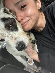 Lititz Templar Knight spotted