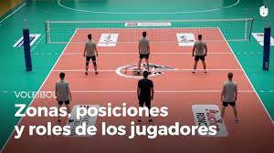 We did not find results for: Las Zonas Las Posiciones Y Los Roles De Los Jugadores Voleibol Youtube