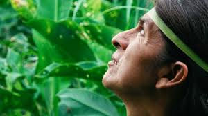 Kanarta: Alive in Dreams