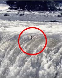 In 1901, 63-year-old schoolteacher Annie Edson Taylor became the first  person to survive a trip over Niagara Falls in a barrel, and she brought  her cat along for the ride.⁠ ⁠ Seeking