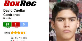BoxRec: David Cuellar Contreras