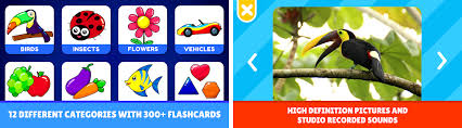 3 topics are completely free to play. Flashcards Toddler Games For 2 And 3 Year Olds Apk Download For Android Latest Version 15 0 Com Foofoo Flashcards