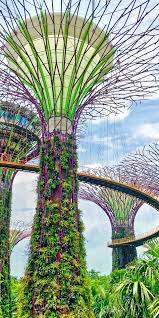 In present day, the botanical gardens still host a herbarium with more than 600,000 botanical specimens it aims to sell itself as an internationally singapore botanic gardens ticket prices. Singapore Singapore The Singapore Botanic Garden And Adjoining Orchid Garden Approac Singapore Garden Singapore Botanic Gardens National Botanical Gardens
