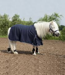 Like most fluffy ponies, there is a lot of mystery behind him. Shetty Abschwitzdecke Economic