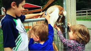 We asked several questions and were amazed at the stories behind each of the animals. Best Family Farms And Petting Zoos Seattle S Child